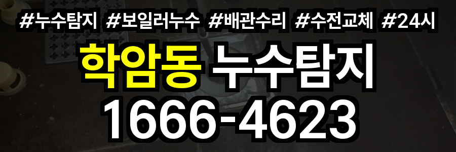 학암동 누수탐지
