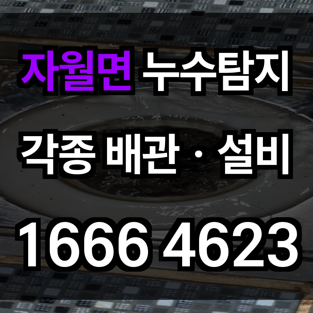 자월면 누수탐지