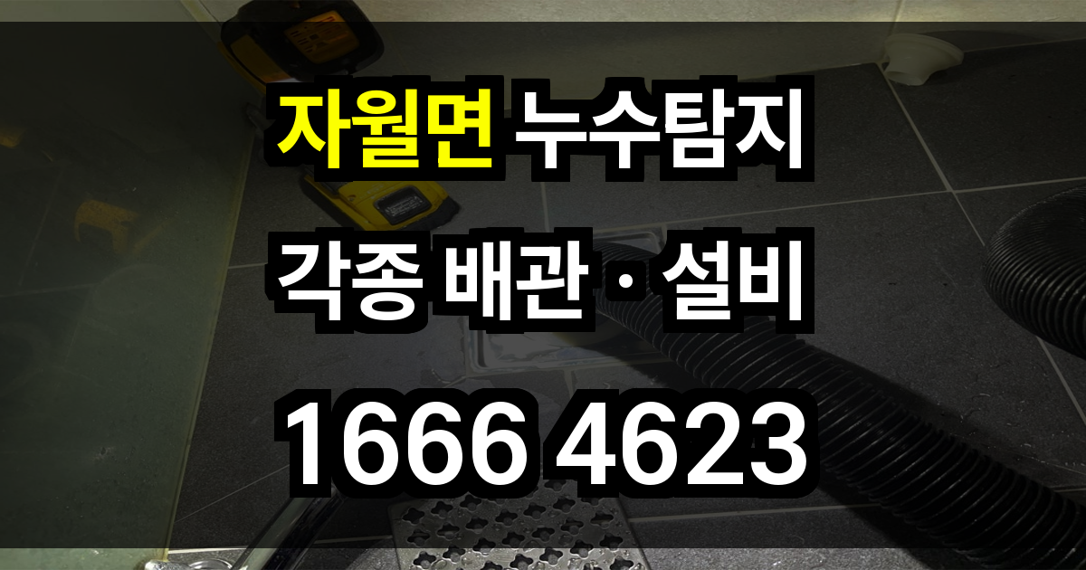 자월면 누수탐지