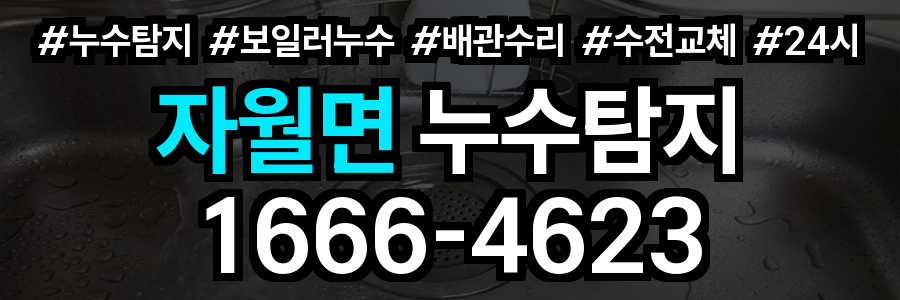 자월면 누수탐지