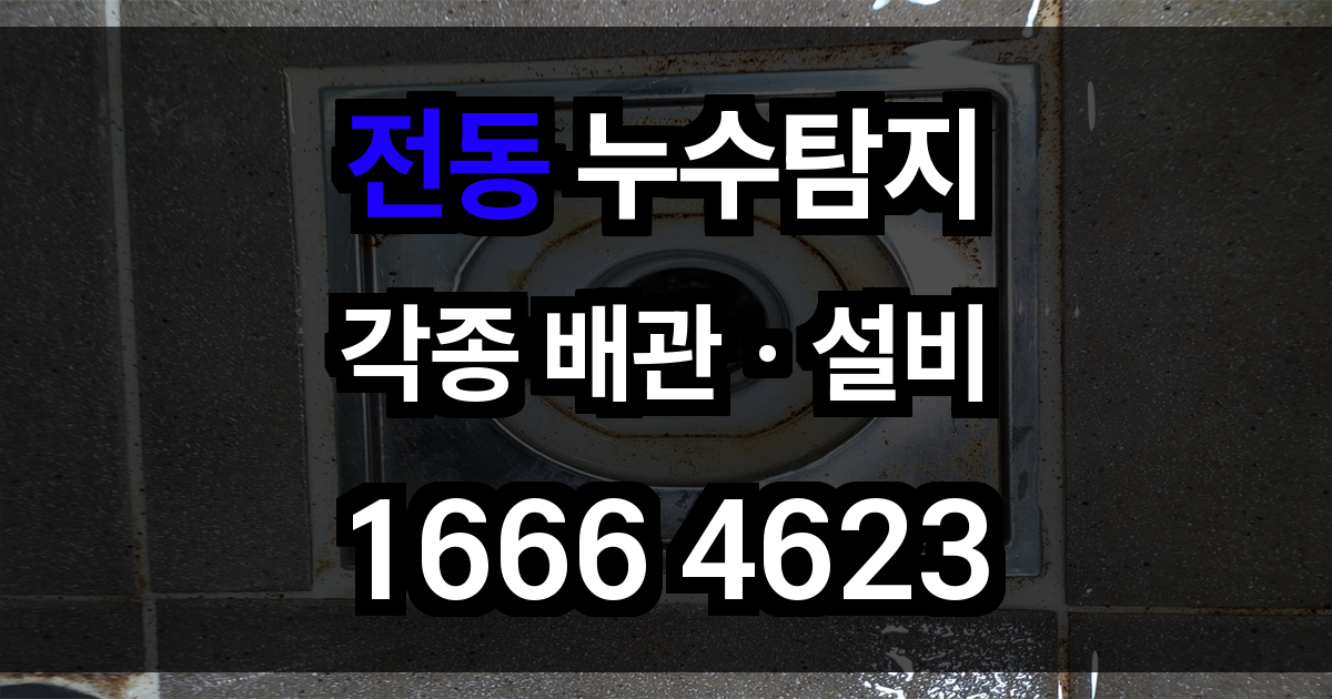 전동 누수탐지