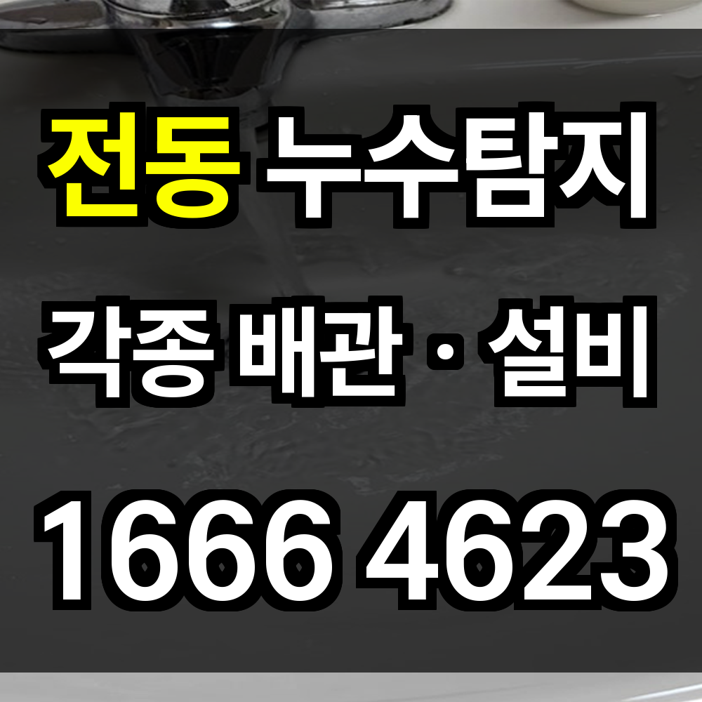 전동 누수탐지