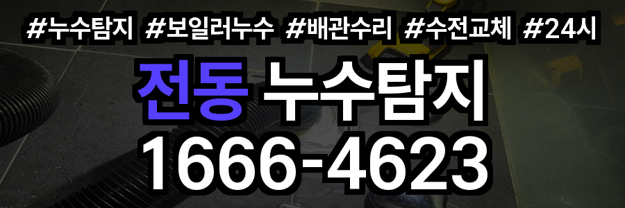 전동 누수탐지