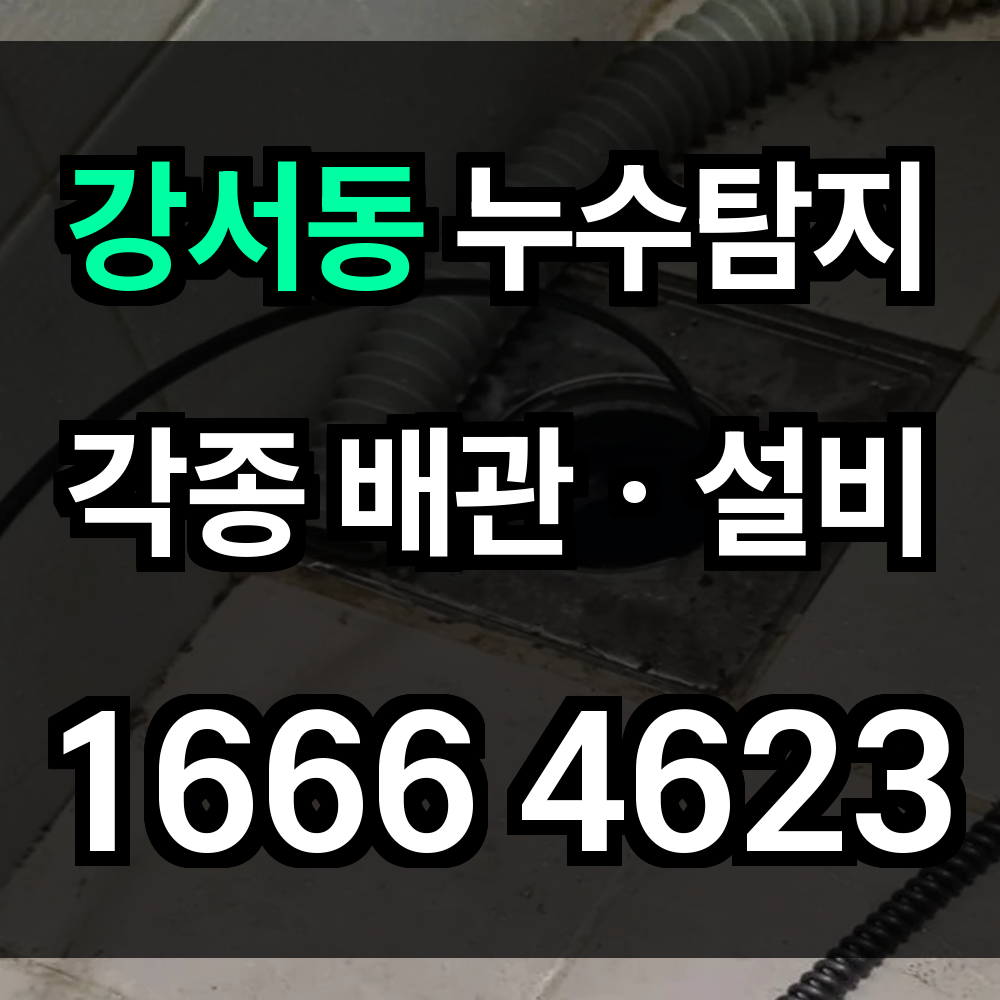 강서동 누수탐지