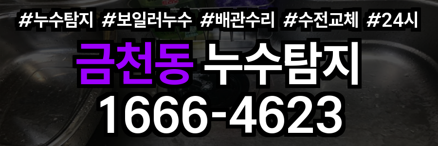 금천동 누수탐지