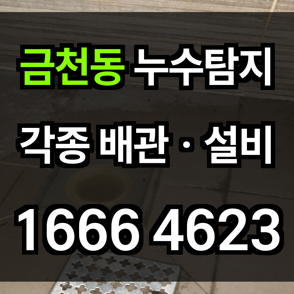 금천동 누수탐지