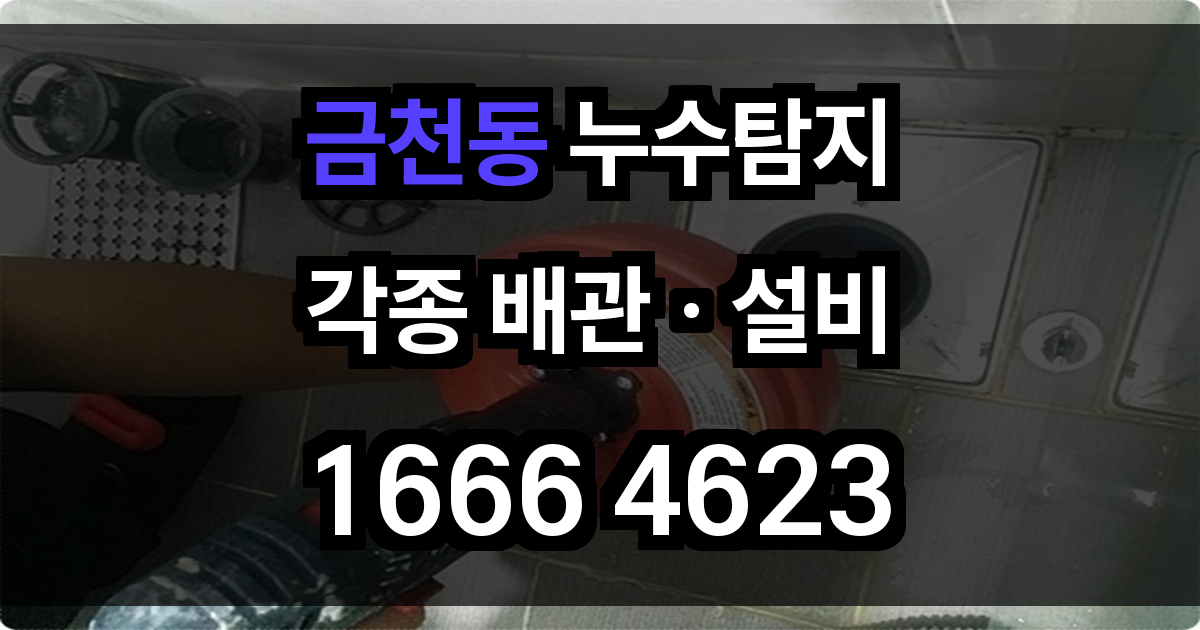 금천동 누수탐지