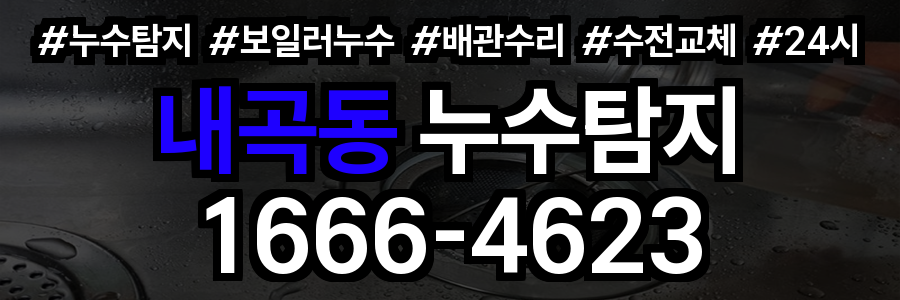 내곡동 누수탐지