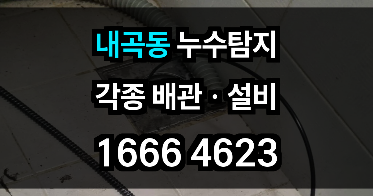 내곡동 누수탐지