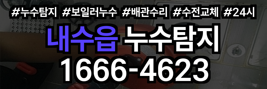 내수읍 누수탐지