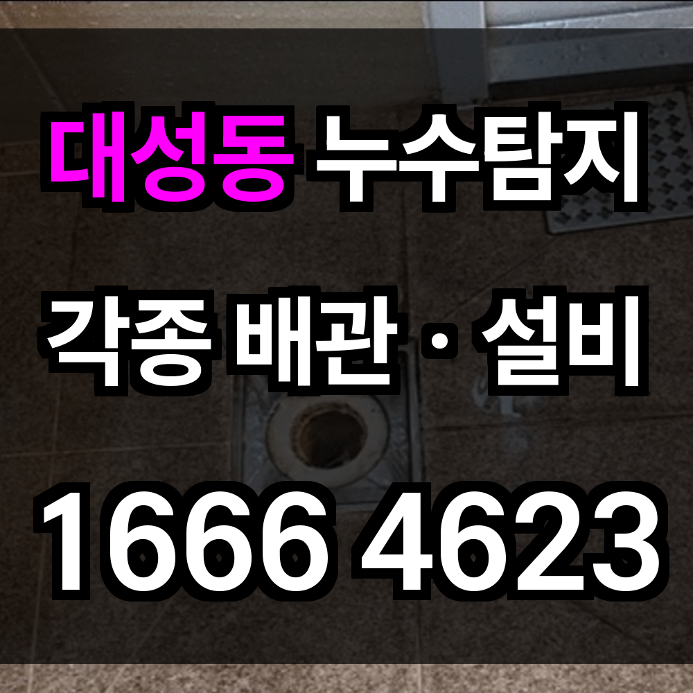 대성동 누수탐지