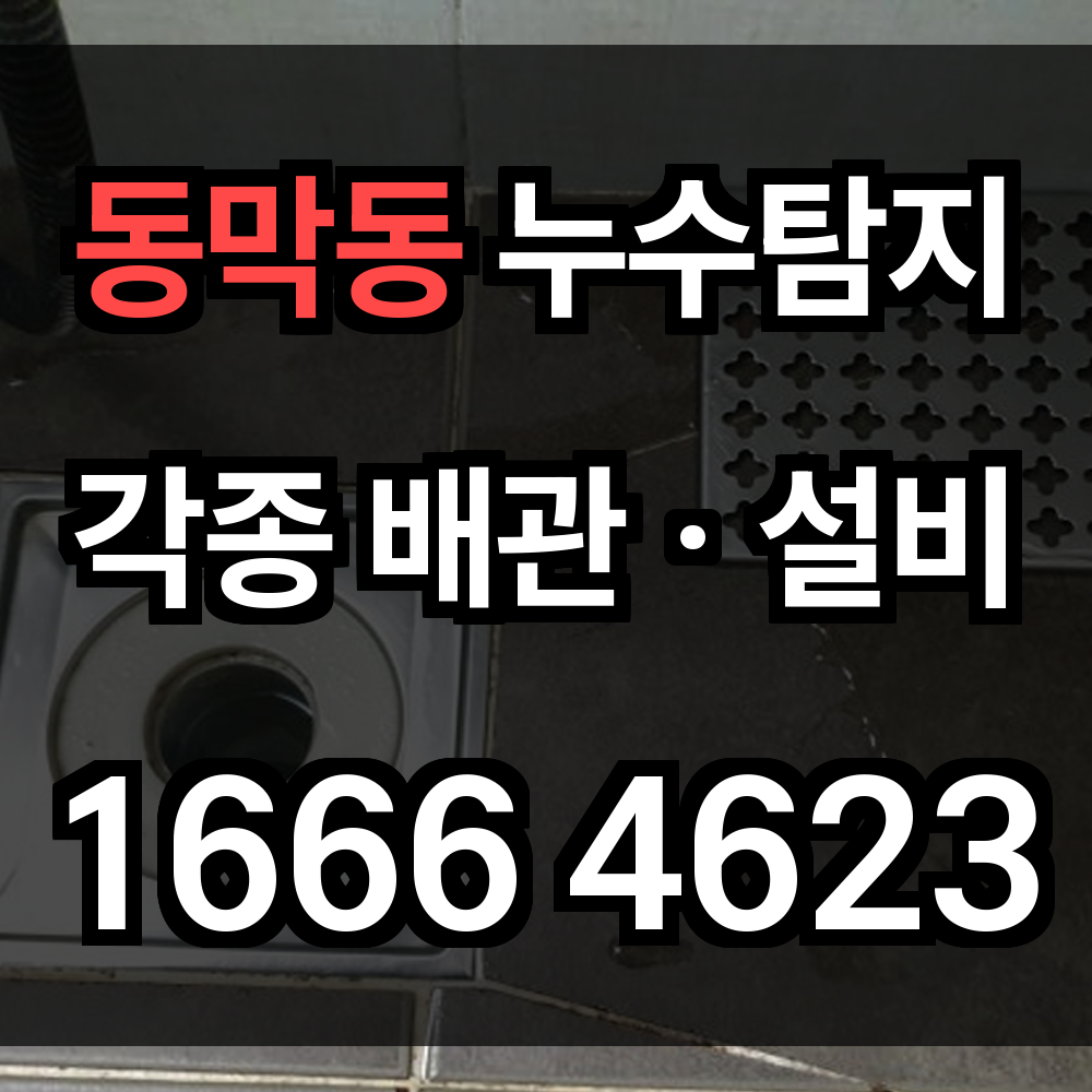동막동 누수탐지
