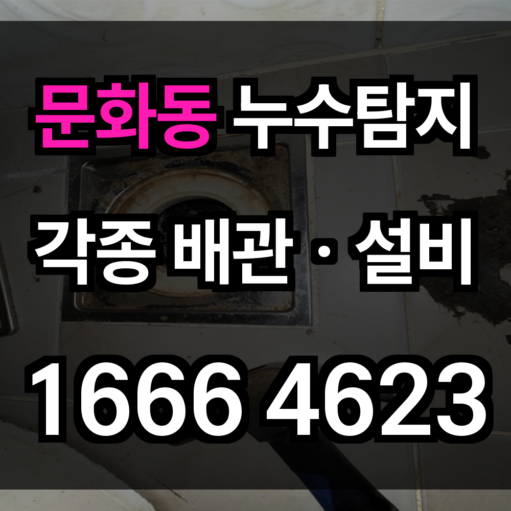문화동 누수탐지