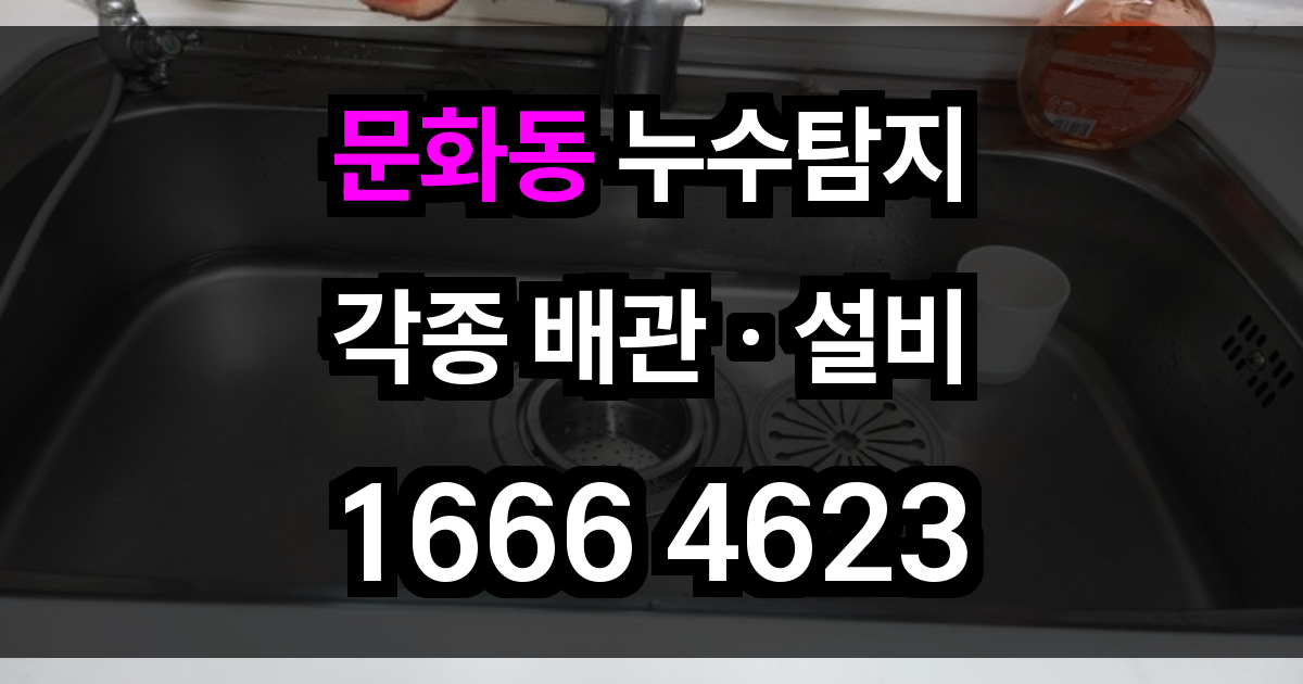 문화동 누수탐지