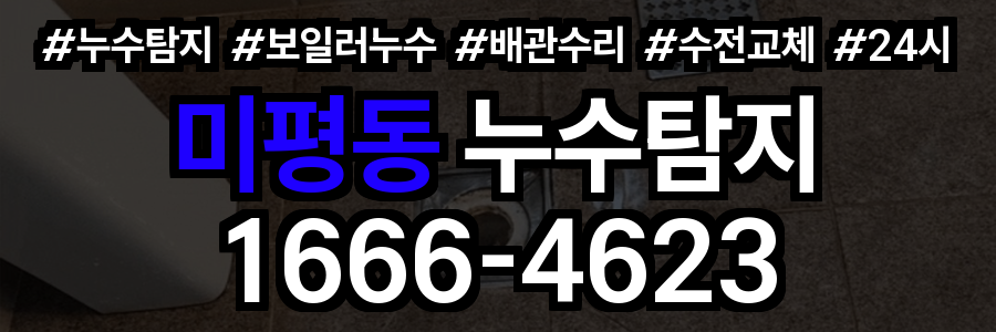 미평동 누수탐지