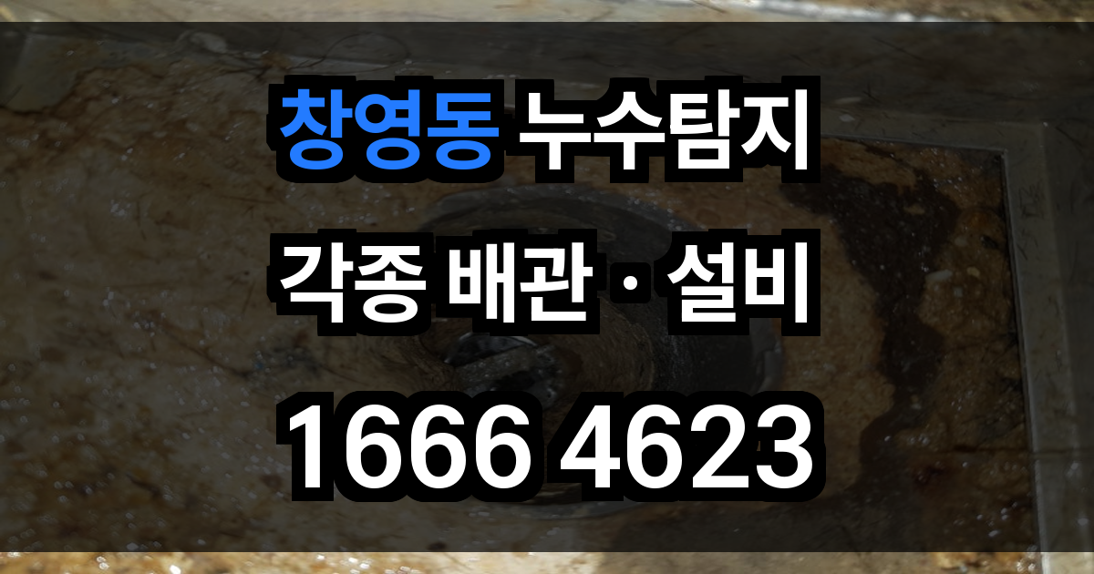 창영동 누수탐지
