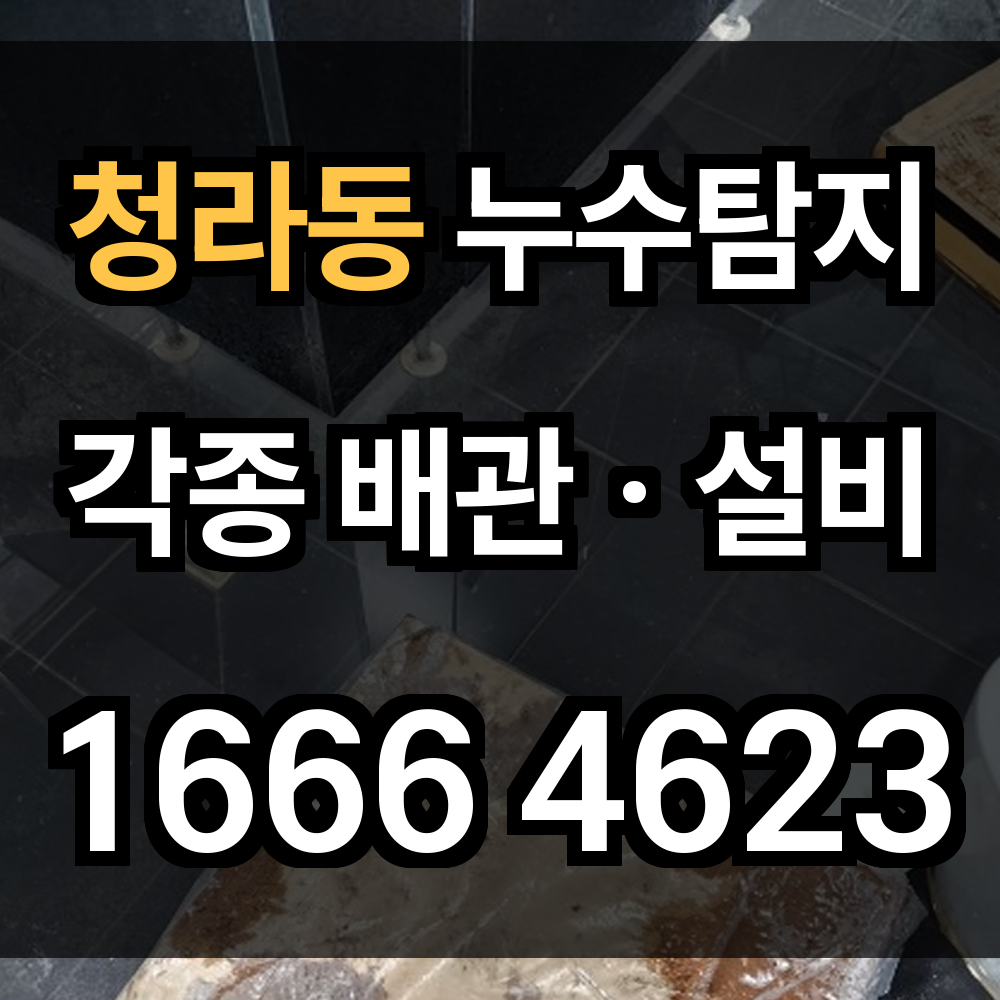 청라동 누수탐지