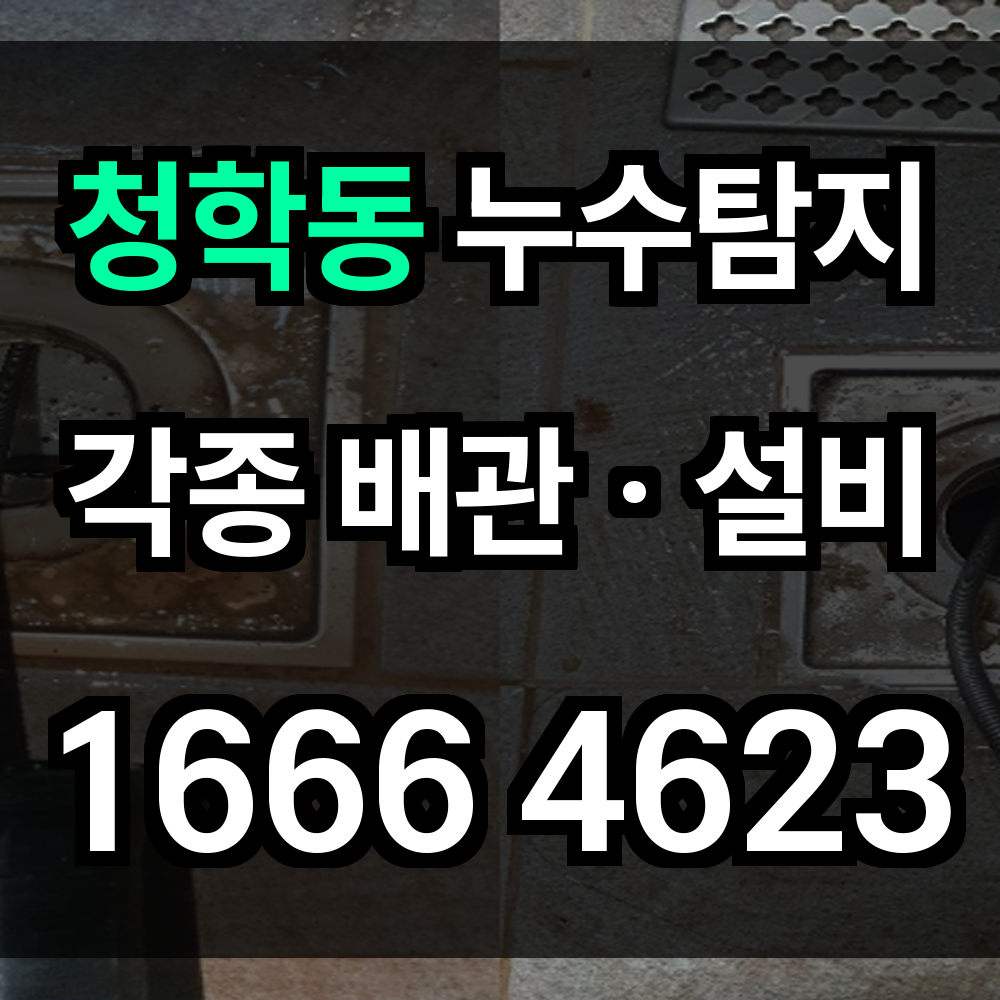 청학동 누수탐지