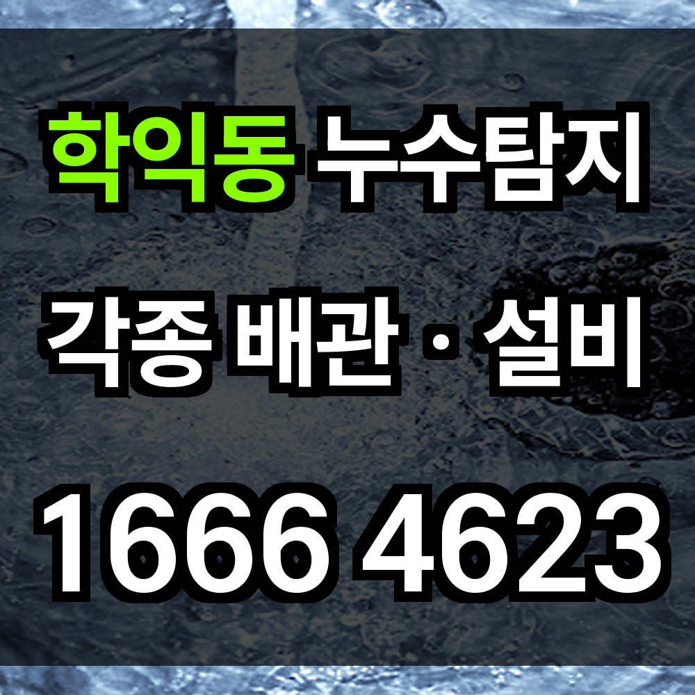 학익동 누수탐지