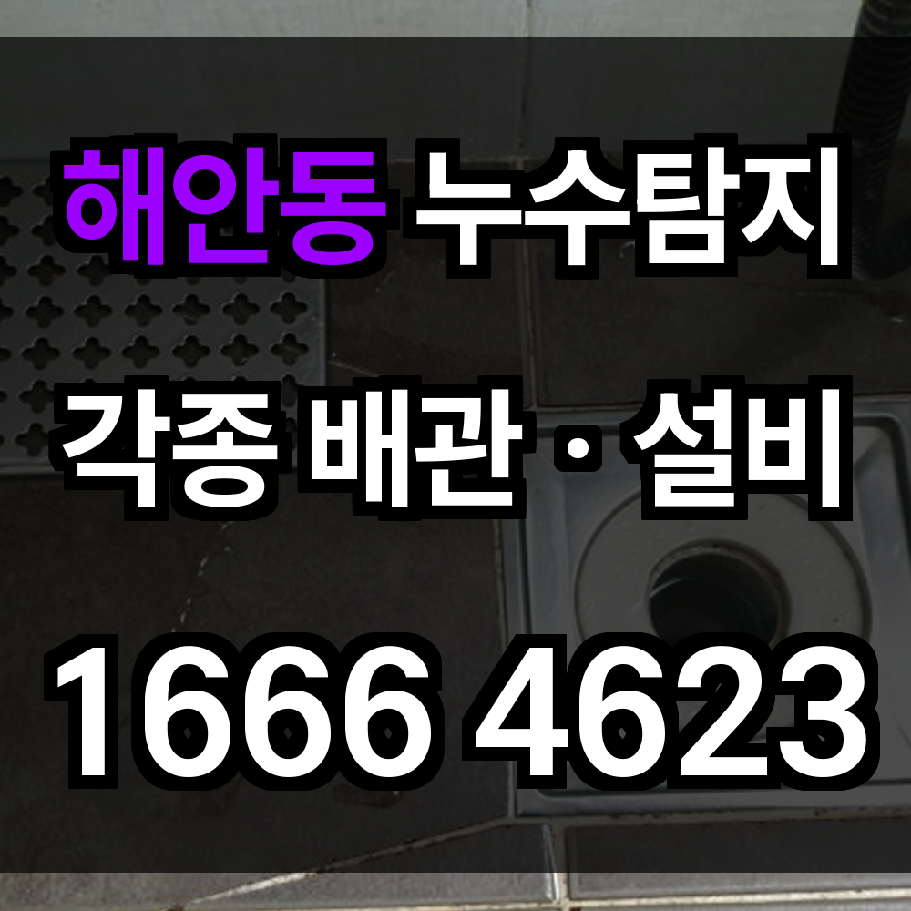 해안동 누수탐지