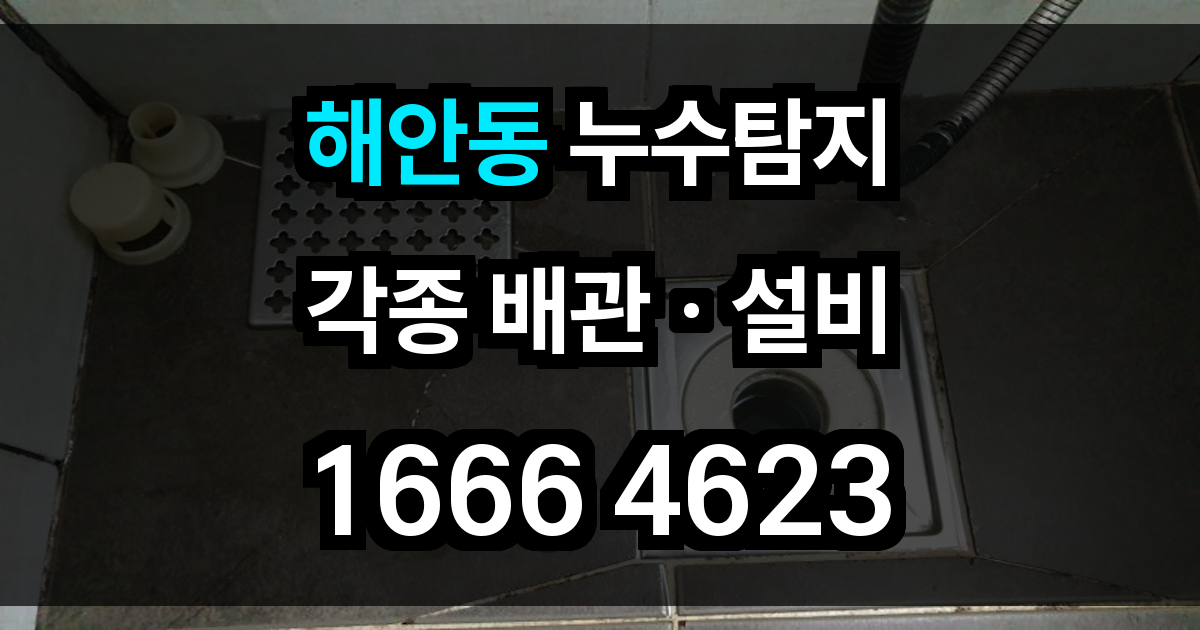 해안동 누수탐지