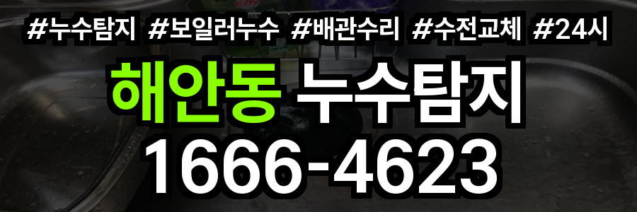 해안동 누수탐지