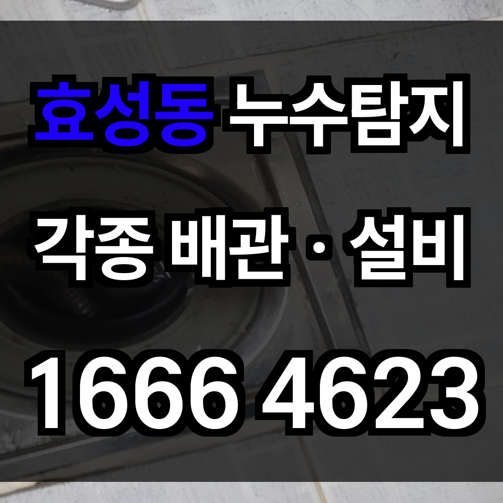 효성동 누수탐지