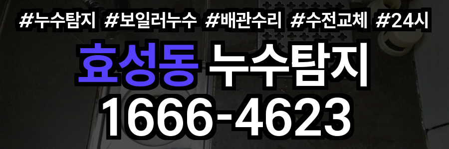 효성동 누수탐지