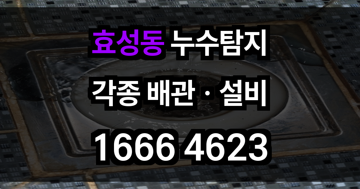 효성동 누수탐지