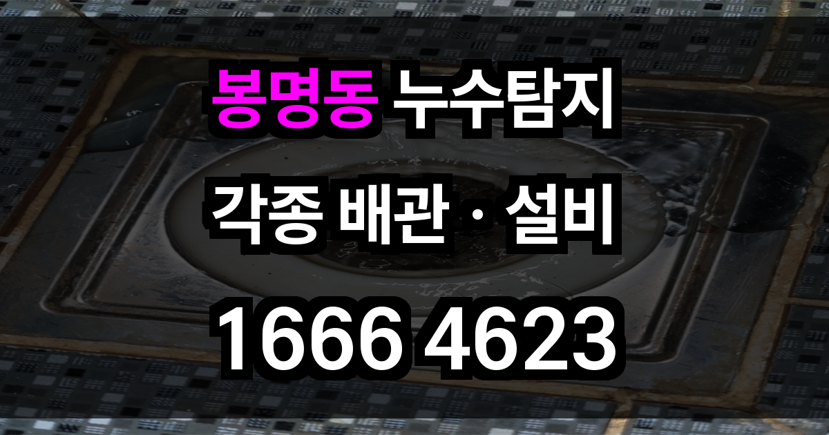 봉명동 누수탐지