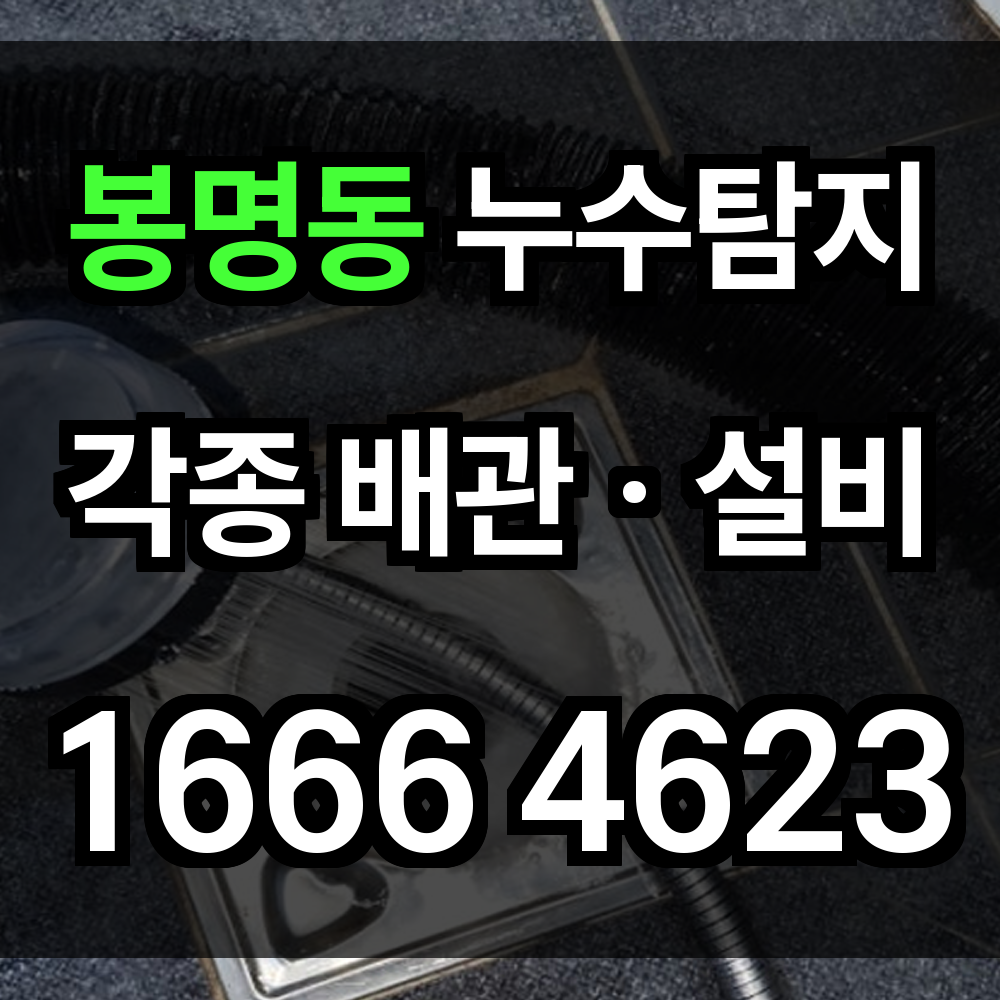 봉명동 누수탐지