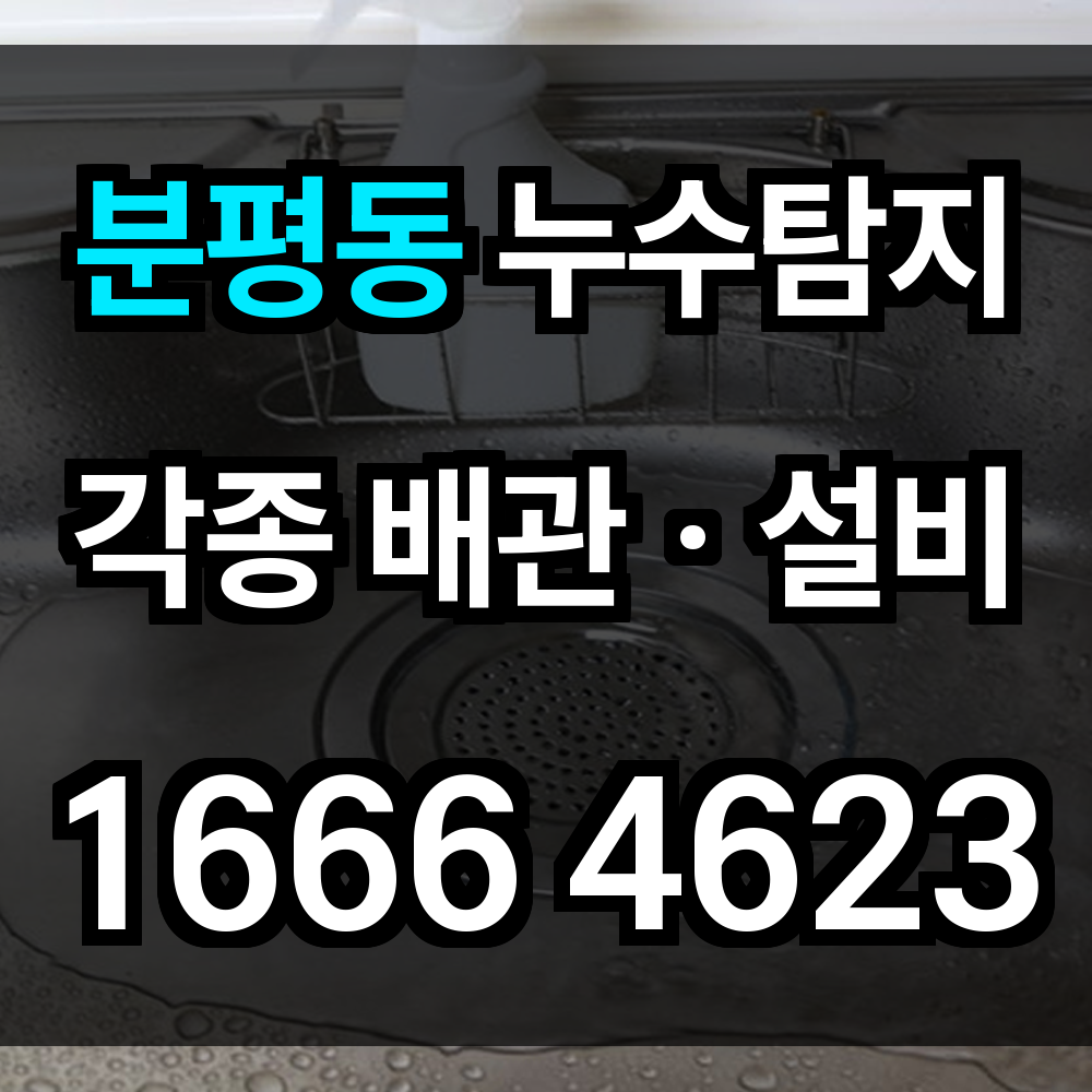 분평동 누수탐지