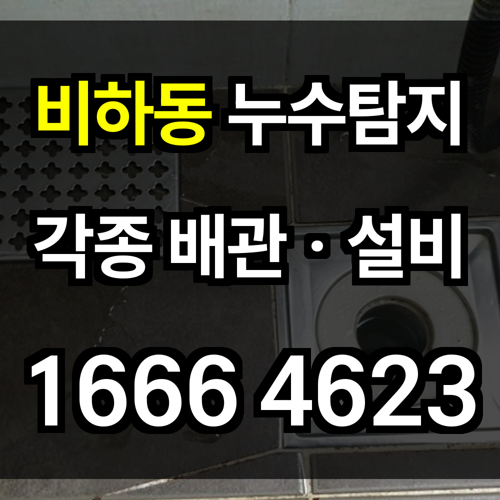 비하동 누수탐지