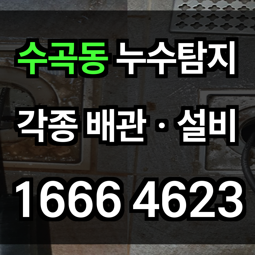 수곡동 누수탐지
