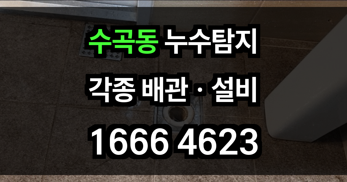 수곡동 누수탐지