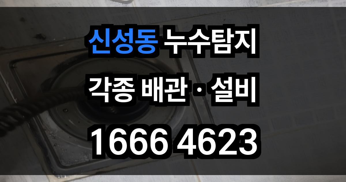 신성동 누수탐지