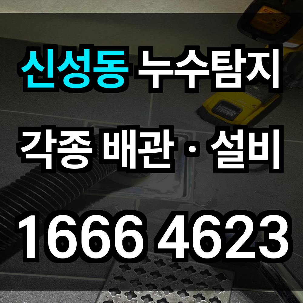 신성동 누수탐지