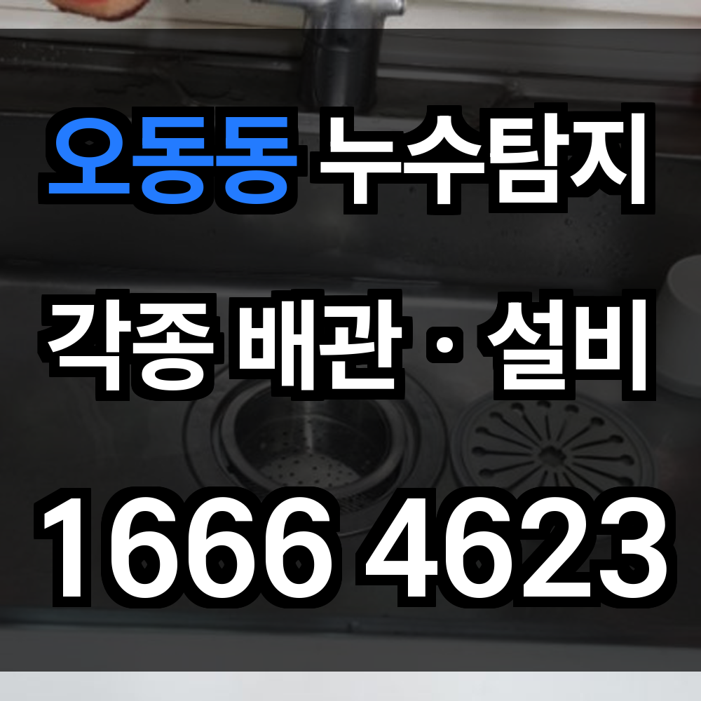 오동동 누수탐지
