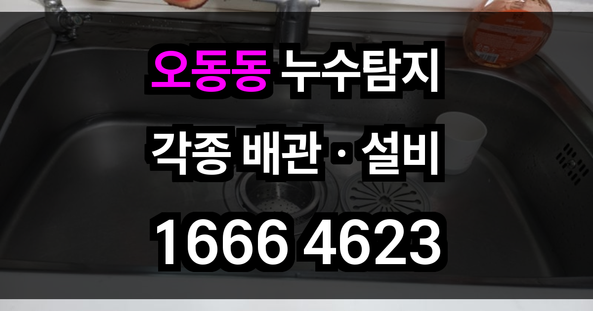 오동동 누수탐지