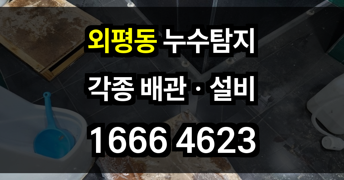 외평동 누수탐지