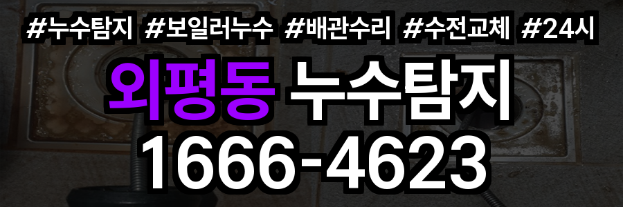 외평동 누수탐지