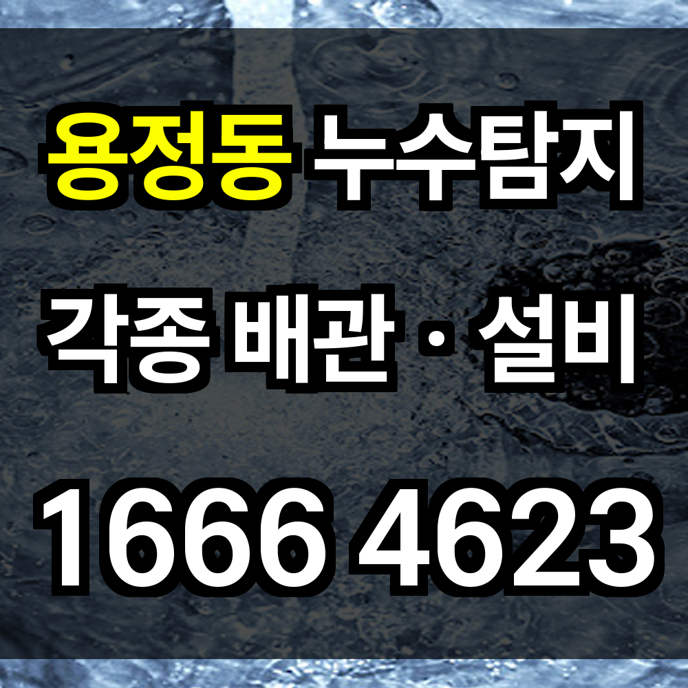용정동 누수탐지