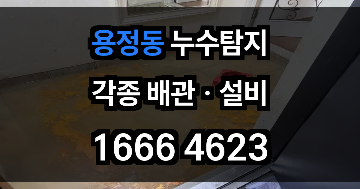용정동 누수탐지