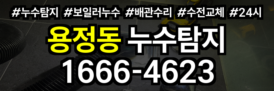 용정동 누수탐지