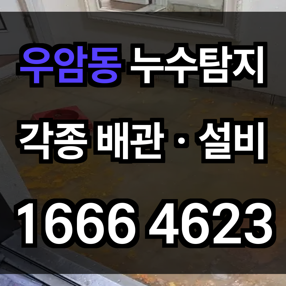 우암동 누수탐지