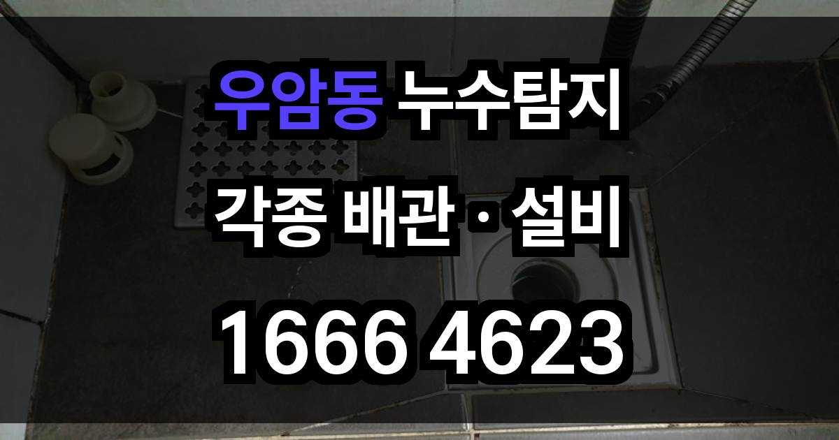 우암동 누수탐지