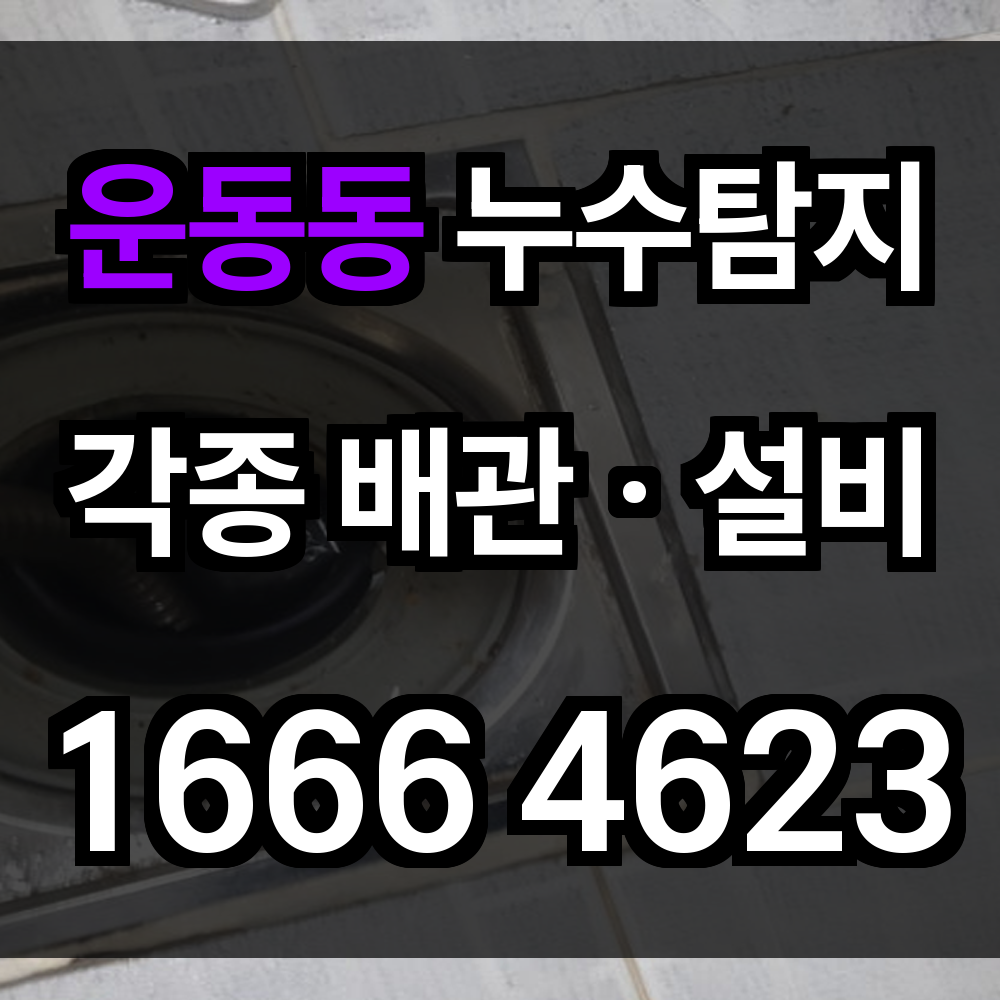 운동동 누수탐지