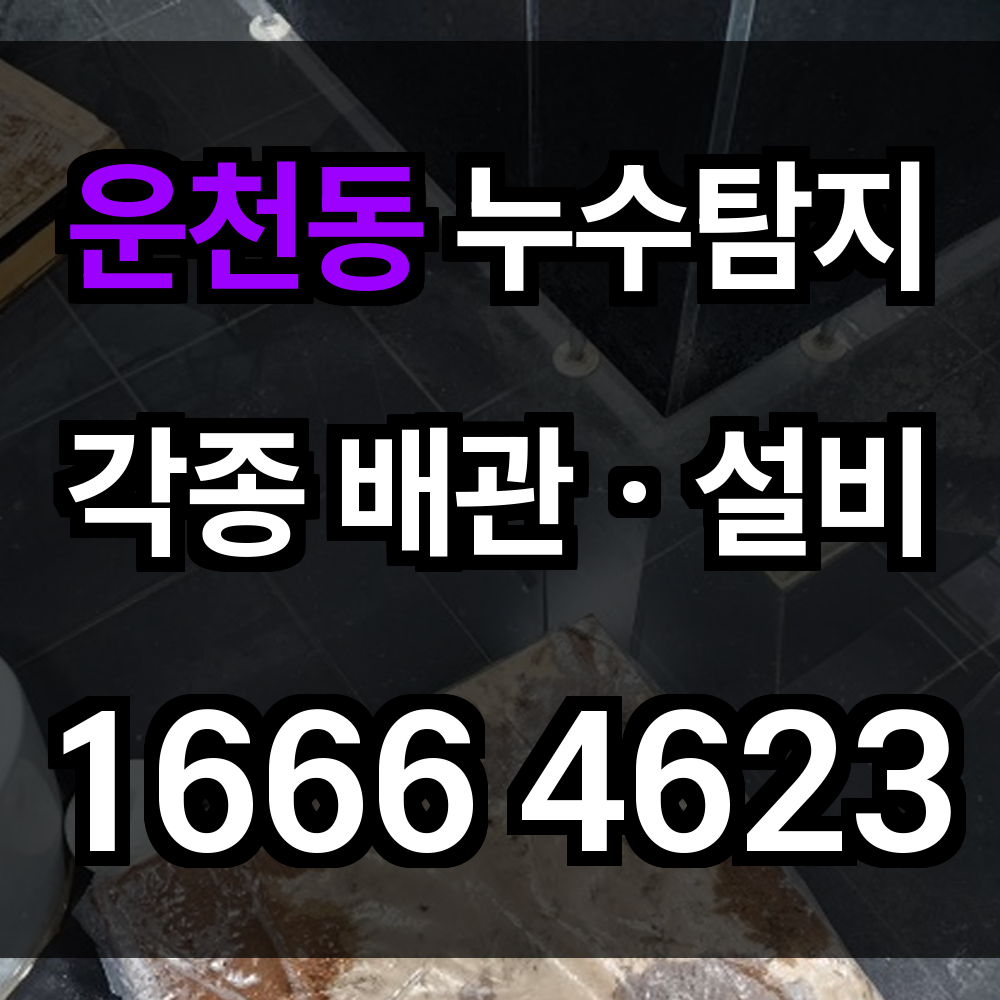 운천동 누수탐지