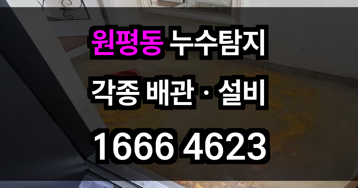 원평동 누수탐지
