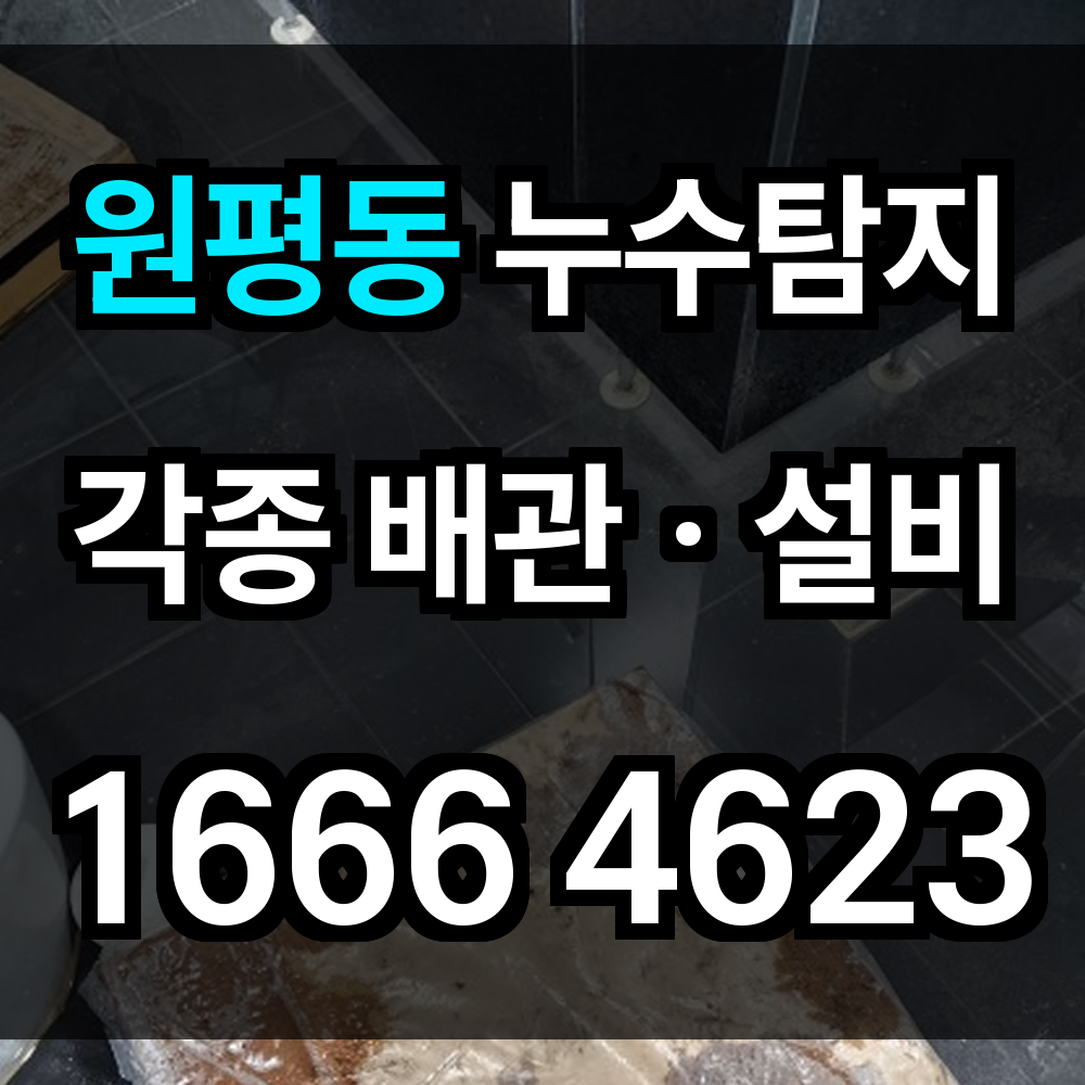 원평동 누수탐지